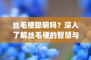 丝毛梗聪明吗？深入了解丝毛梗的智慧与个性