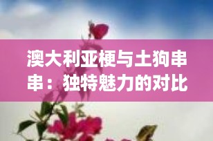 澳大利亚梗与土狗串串：独特魅力的对比与融合