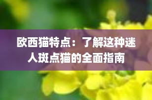 欧西猫特点：了解这种迷人斑点猫的全面指南
