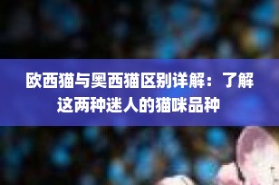 欧西猫与奥西猫区别详解：了解这两种迷人的猫咪品种