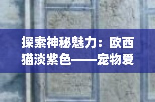 探索神秘魅力：欧西猫淡紫色——宠物爱好者的梦幻之选
