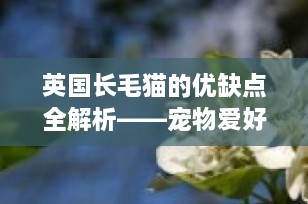 英国长毛猫的优缺点全解析——宠物爱好者的养宠指南