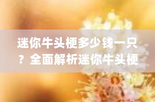 迷你牛头梗多少钱一只？全面解析迷你牛头梗的价格与选购指南