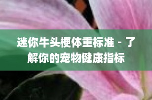 迷你牛头梗体重标准 - 了解你的宠物健康指标
