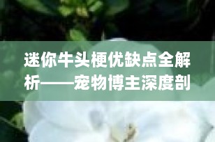 迷你牛头梗优缺点全解析——宠物博主深度剖析