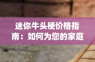 迷你牛头梗价格指南：如何为您的家庭选择合适的伴侣