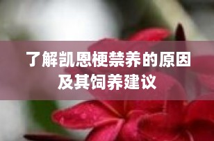 了解凯恩梗禁养的原因及其饲养建议