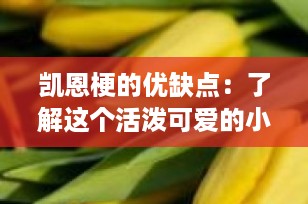 凯恩梗的优缺点：了解这个活泼可爱的小伙伴
