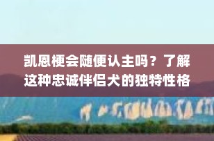 凯恩梗会随便认主吗？了解这种忠诚伴侣犬的独特性格与认主行为