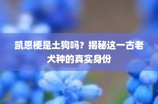 凯恩梗是土狗吗？揭秘这一古老犬种的真实身份