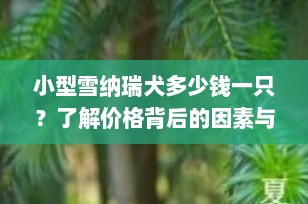 小型雪纳瑞犬多少钱一只？了解价格背后的因素与选择指南