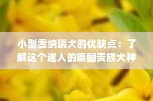 小型雪纳瑞犬的优缺点：了解这个迷人的德国贵族犬种