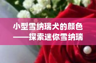 小型雪纳瑞犬的颜色——探索迷你雪纳瑞犬的多彩世界