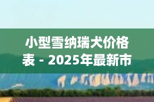 小型雪纳瑞犬价格表 - 2025年最新市场行情与购买指南