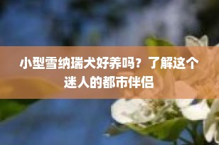 小型雪纳瑞犬好养吗？了解这个迷人的都市伴侣