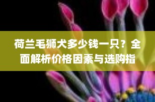 荷兰毛狮犬多少钱一只？全面解析价格因素与选购指南