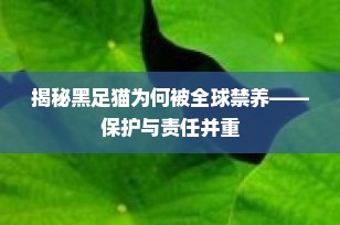 揭秘黑足猫为何被全球禁养——保护与责任并重