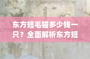 东方短毛猫多少钱一只？全面解析东方短毛猫价格及选购指南