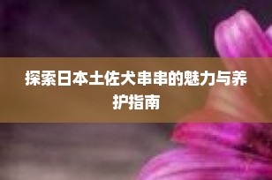 探索日本土佐犬串串的魅力与养护指南