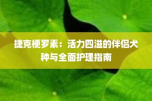 捷克梗罗素：活力四溢的伴侣犬种与全面护理指南