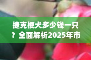 捷克梗犬多少钱一只？全面解析2025年市场价格趋势