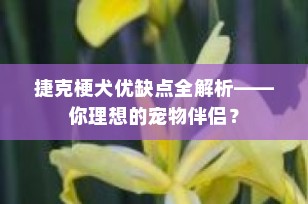 捷克梗犬优缺点全解析——你理想的宠物伴侣？