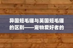 异国短毛猫与英国短毛猫的区别——宠物爱好者的终极指南