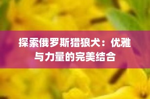 探索俄罗斯猎狼犬：优雅与力量的完美结合