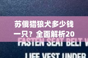 苏俄猎狼犬多少钱一只？全面解析2025年最新价格趋势