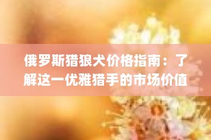 俄罗斯猎狼犬价格指南：了解这一优雅猎手的市场价值