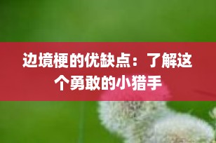 边境梗的优缺点：了解这个勇敢的小猎手
