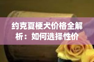 约克夏梗犬价格全解析：如何选择性价比高的爱宠