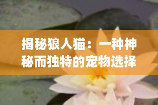 揭秘狼人猫：一种神秘而独特的宠物选择