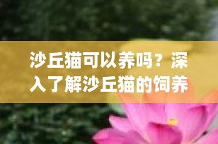 沙丘猫可以养吗？深入了解沙丘猫的饲养挑战与保护现状
