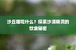 沙丘猫吃什么？探索沙漠精灵的饮食秘密