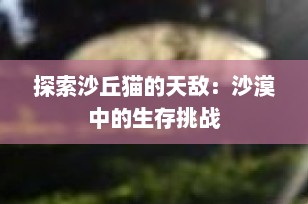 探索沙丘猫的天敌：沙漠中的生存挑战