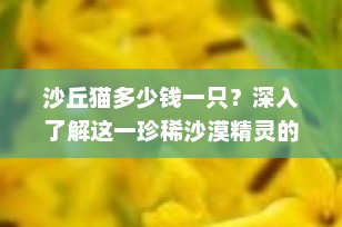 沙丘猫多少钱一只？深入了解这一珍稀沙漠精灵的价格与保护现状