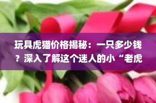 玩具虎猫价格揭秘：一只多少钱？深入了解这个迷人的小“老虎”