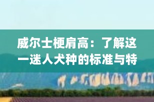 威尔士梗肩高：了解这一迷人犬种的标准与特点