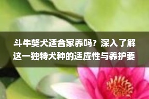 斗牛獒犬适合家养吗？深入了解这一独特犬种的适应性与养护要点