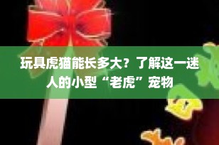 玩具虎猫能长多大？了解这一迷人的小型“老虎”宠物