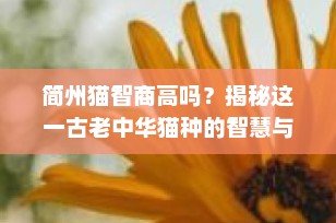 简州猫智商高吗？揭秘这一古老中华猫种的智慧与魅力