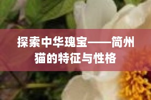 探索中华瑰宝——简州猫的特征与性格