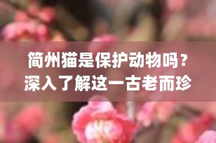 简州猫是保护动物吗？深入了解这一古老而珍贵的猫种