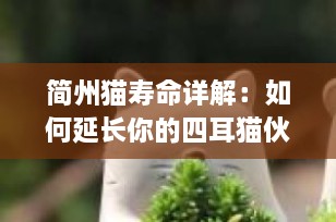 简州猫寿命详解：如何延长你的四耳猫伙伴的生命