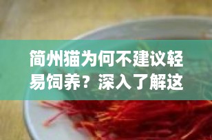 简州猫为何不建议轻易饲养？深入了解这一古老品种的挑战