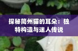 探秘简州猫的耳朵：独特构造与迷人传说