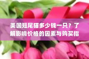 美国短尾猫多少钱一只？了解影响价格的因素与购买指南