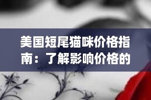 美国短尾猫咪价格指南：了解影响价格的因素及市场行情