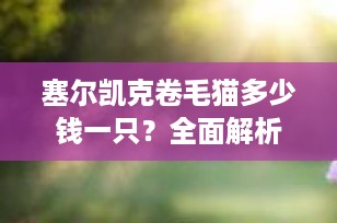 塞尔凯克卷毛猫多少钱一只？全面解析价格因素与购买建议